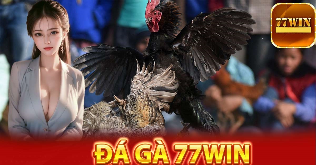 giới thiệu game đá gà 77win