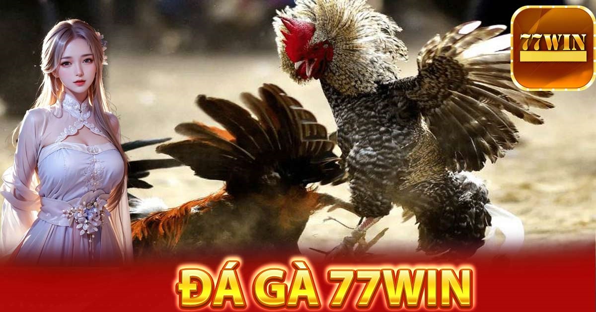 cách chơi đá gà 77win