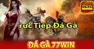 đá gà 77win