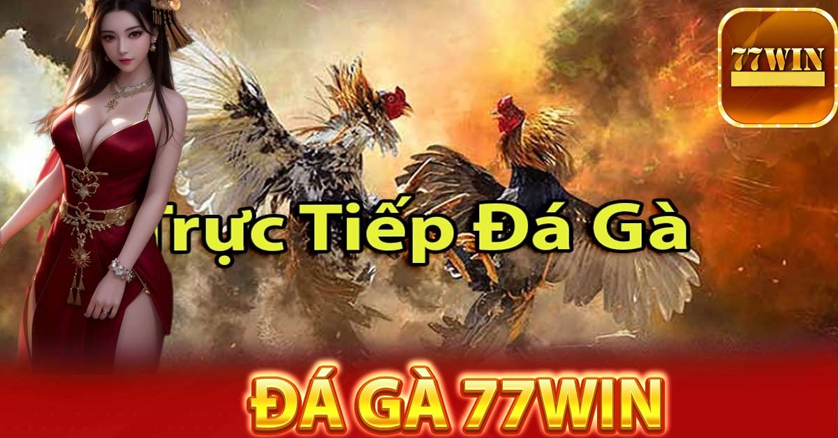 kinh nghiệm chơi đá gà 77win